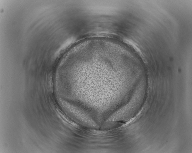 X0000088401403200706121223