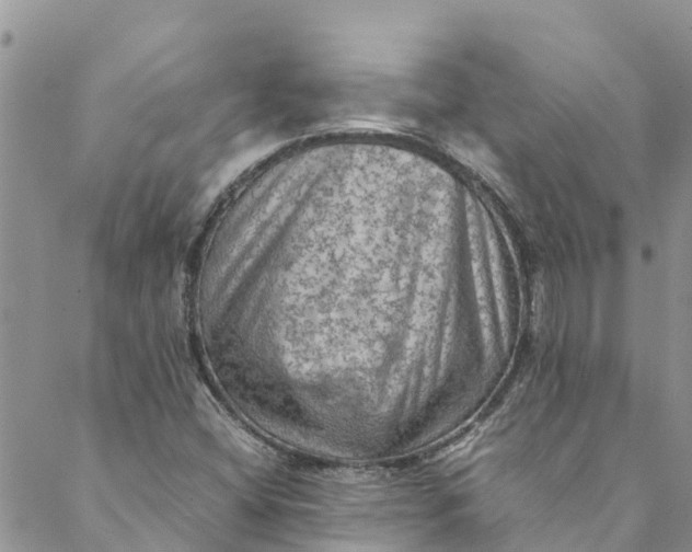 X0000088401404200706121223