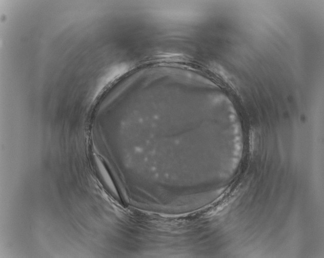 X0000088401405200706121223