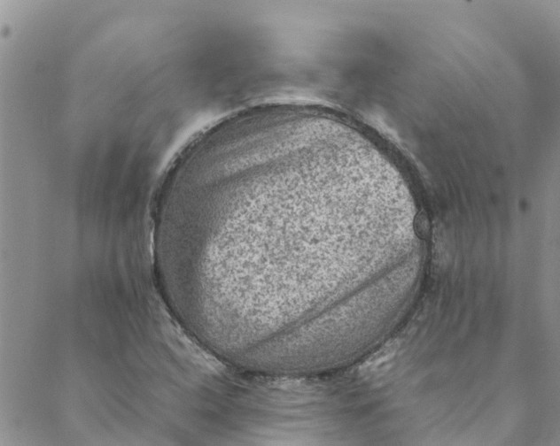 X0000088401408200706121223