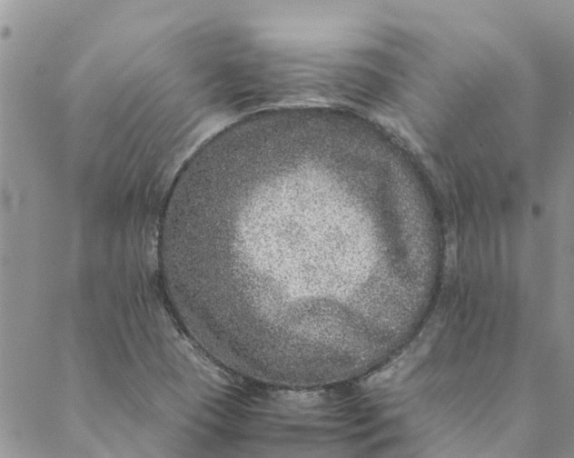 X0000088401409200706121223