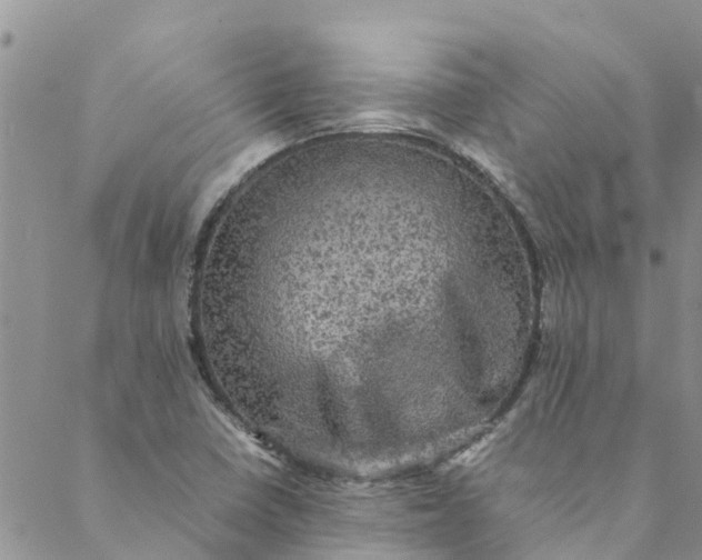 X0000088401410200706121223