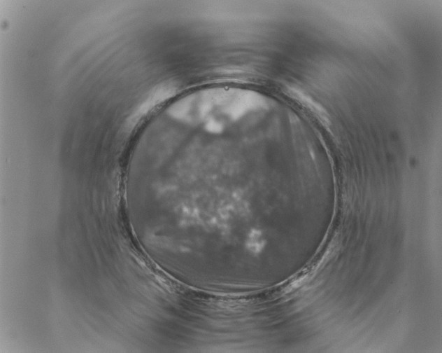 X0000088401411200706121223