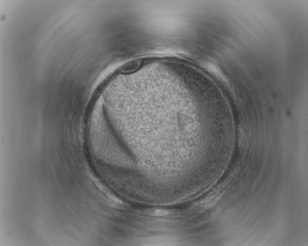 X0000088401412200706121223