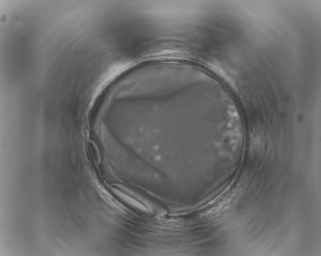 X0000088401413200706121223