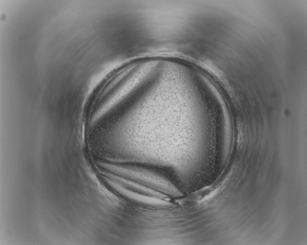 X0000088401414200706121223