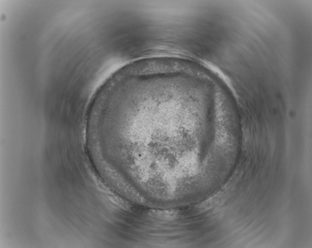 X0000088401415200706121223