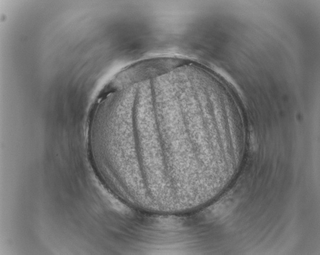 X0000088401416200706121223