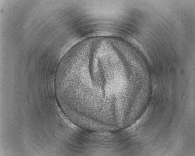 X0000088401417200706121223