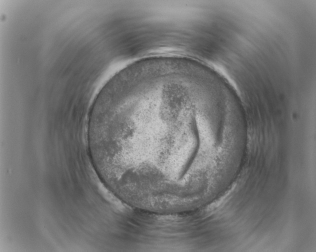 X0000088401421200706121224