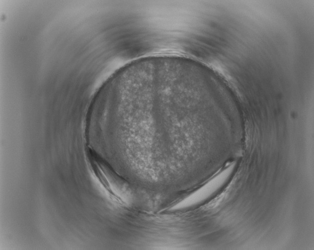 X0000088401422200706121224