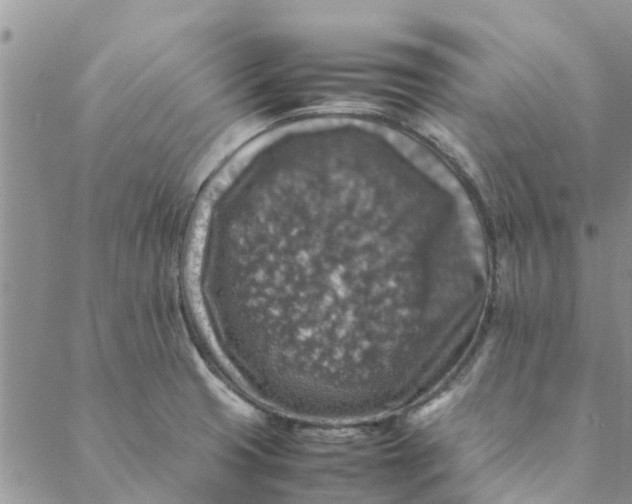 X0000088401425200706121224