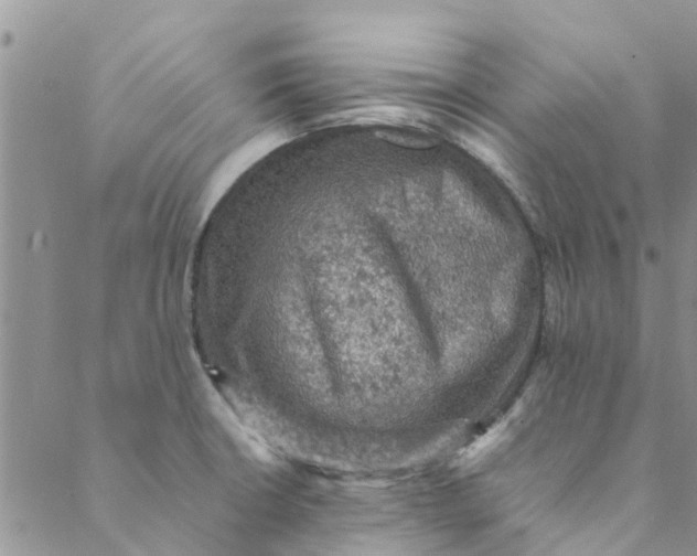 X0000088401426200706121224