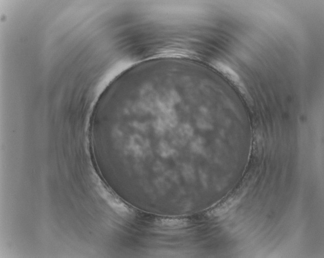 X0000088401427200706121224