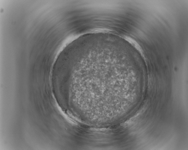 X0000088401429200706121224