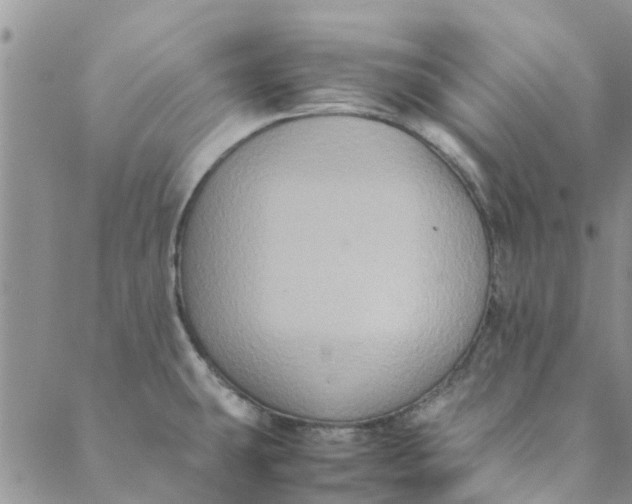 X0000088401431200706121224