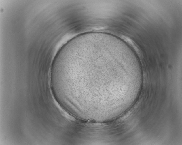 X0000088401432200706121224