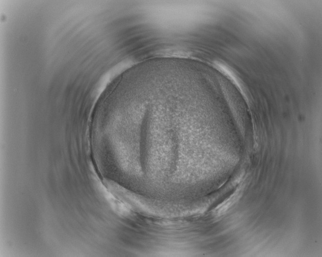 X0000088401434200706121224