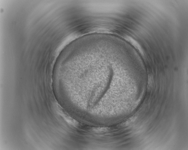 X0000088401435200706121224