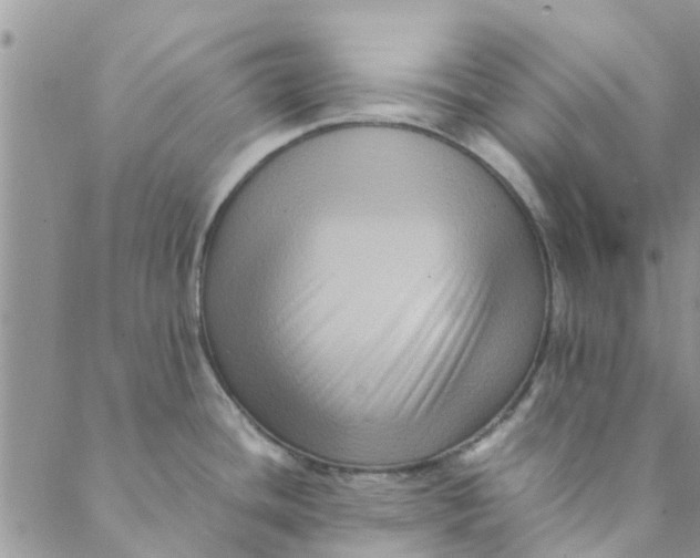 X0000088401436200706121224