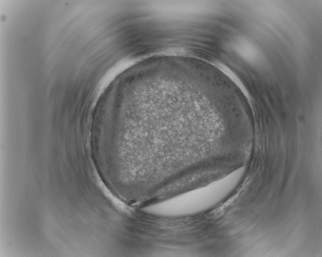 X0000088401437200706121224