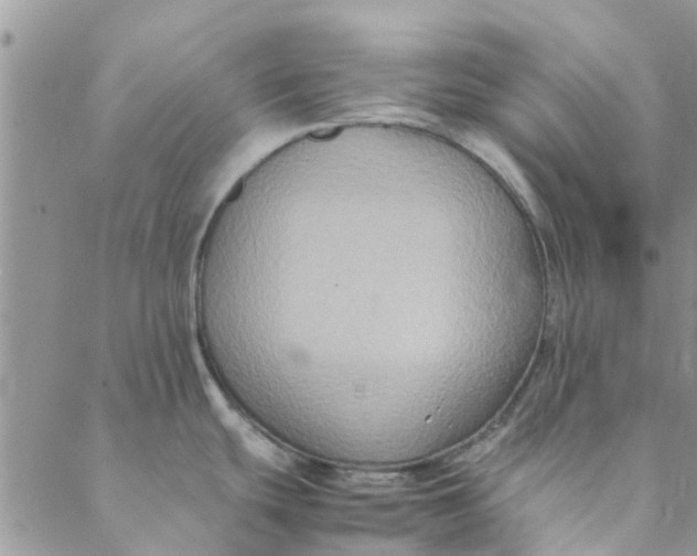 X0000088401439200706121224