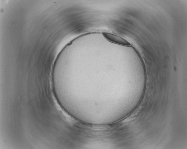 X0000088401440200706121224