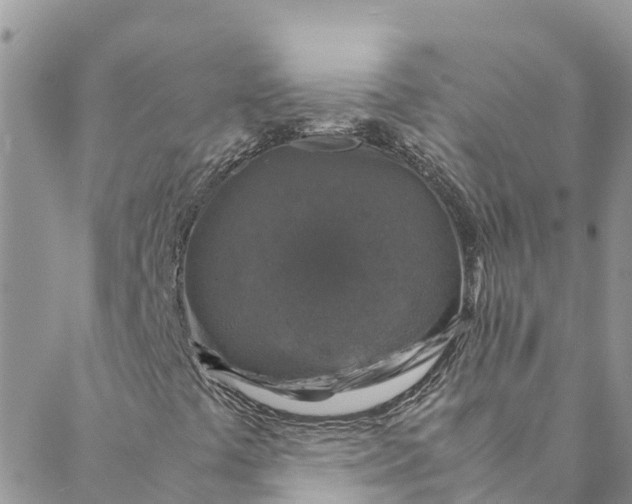 X0000088401441200706121223