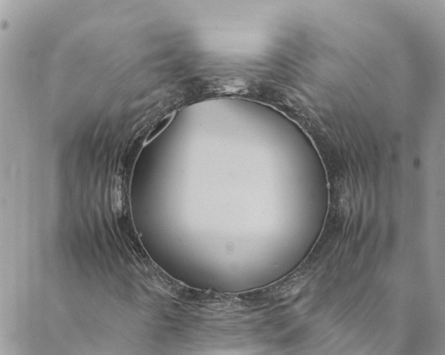 X0000088401442200706121223