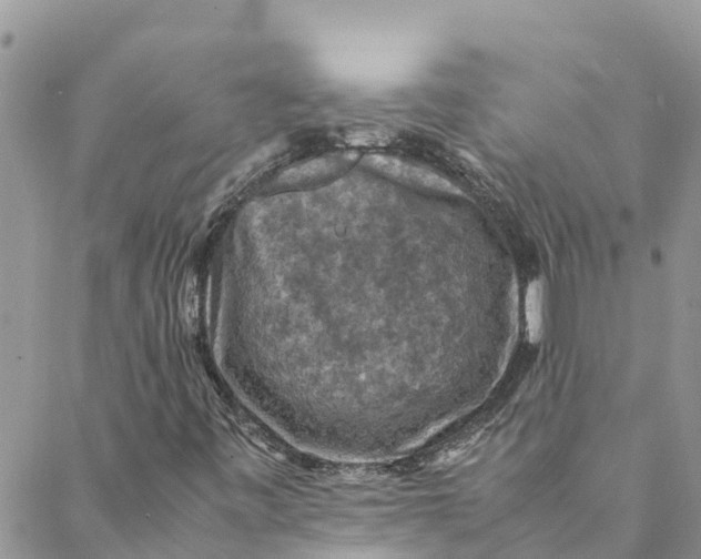 X0000088401443200706121223