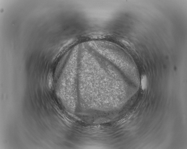 X0000088401444200706121223