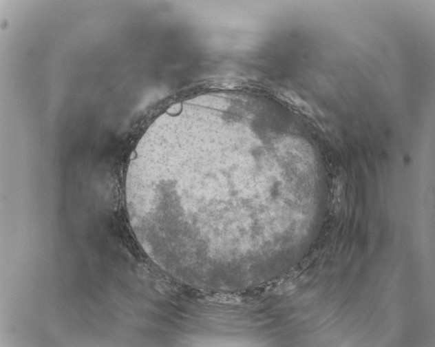 X0000088401446200706121223