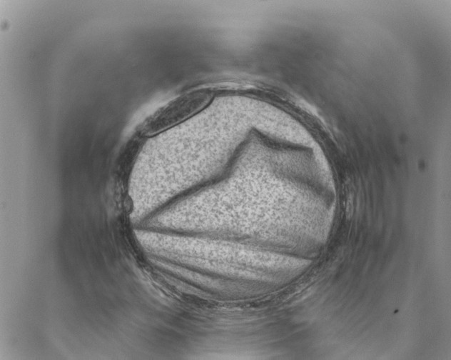 X0000088401448200706121223