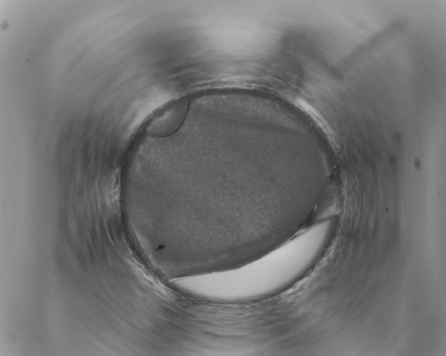 X0000088401450200706121223