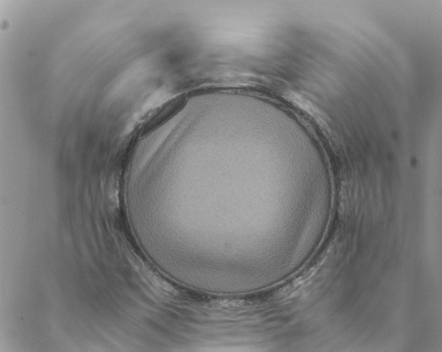 X0000088401451200706121223