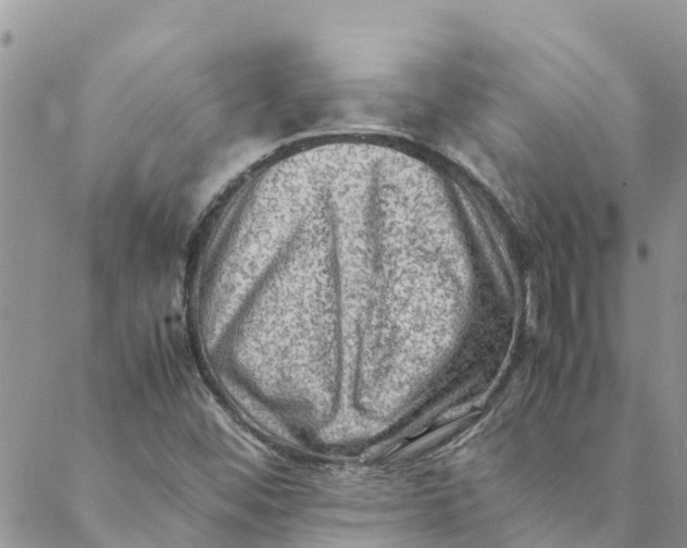 X0000088401452200706121223