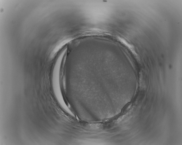 X0000088401453200706121223