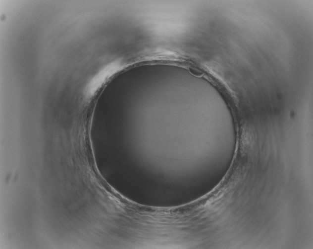 X0000088401455200706121223