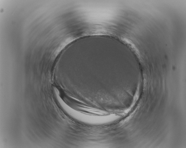 X0000088401457200706121223