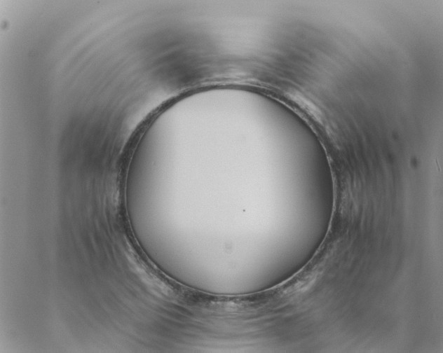 X0000088401458200706121223