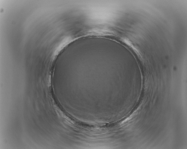 X0000088401459200706121223