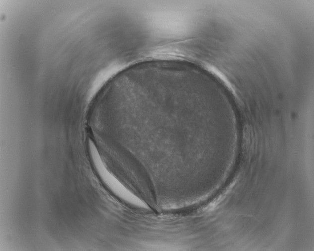 X0000088401461200706121223