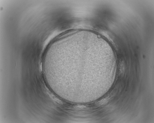 X0000088401462200706121223