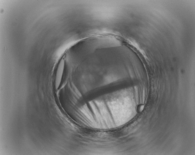 X0000088401463200706121223