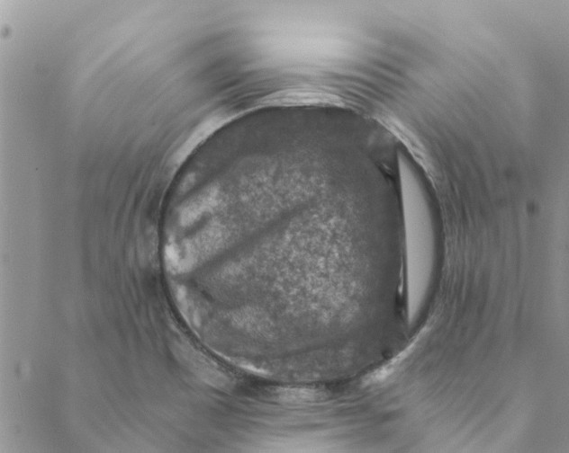 X0000088401465200706121223