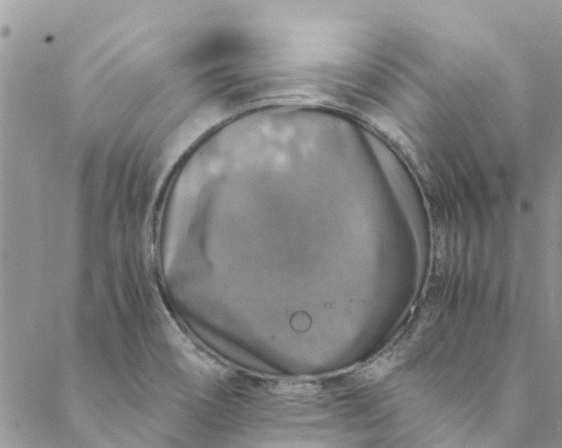 X0000088401466200706121223