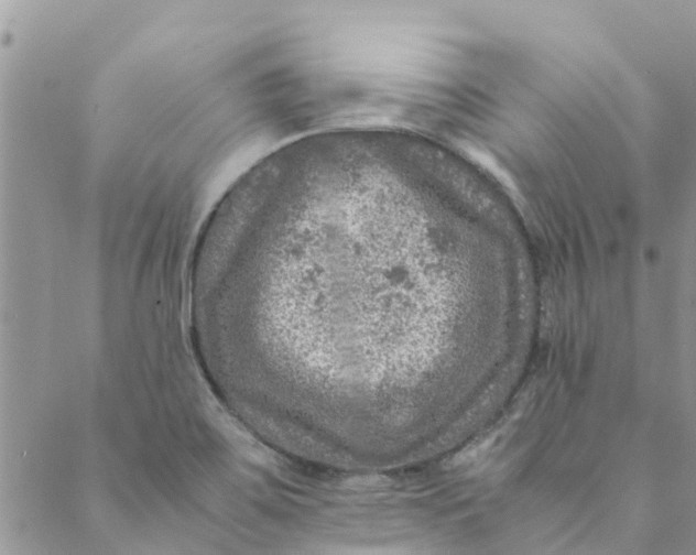 X0000088401467200706121223