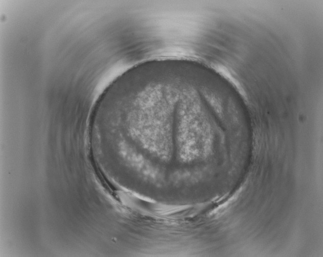 X0000088401469200706121223