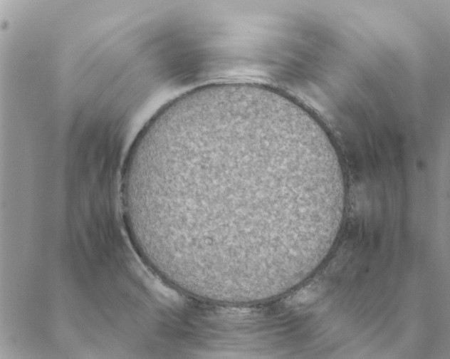 X0000088401470200706121223