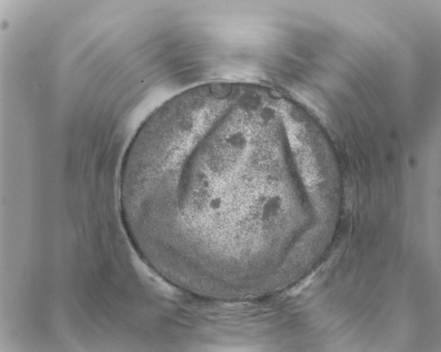 X0000088401471200706121223